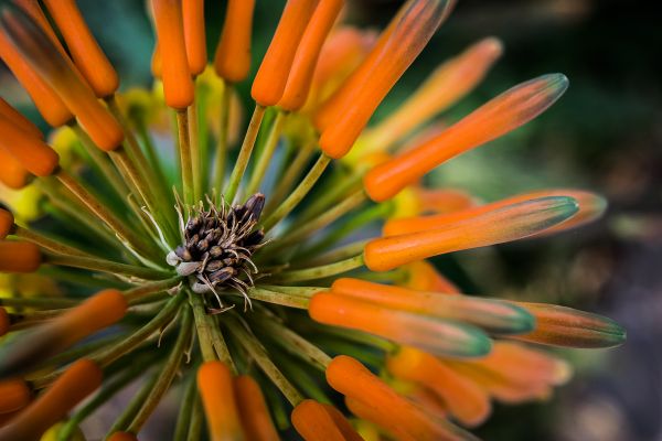 foto:Amariani Nievas Saucedo - lo hecho en México