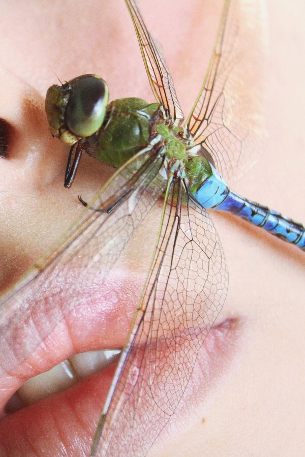 foto:Julia Isabel Almaguer Gonzalez - lo hecho en México