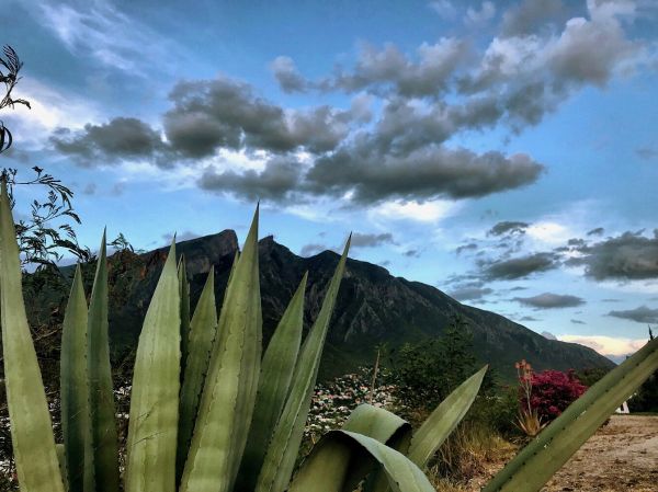 foto:Martin Garcia Lozano - lo hecho en México