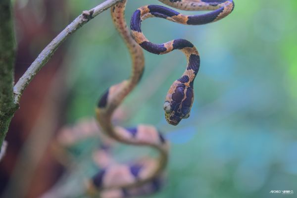 foto:Alfonso Ventura Castellanos - lo hecho en México