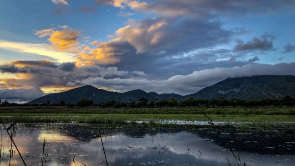 foto:Christian Darien  Olguin  Percastegui - lo hecho en México