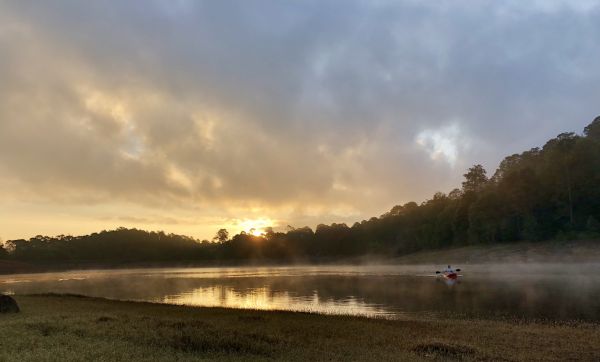 foto:Lyn  Pizano Rodriguez - lo hecho en México