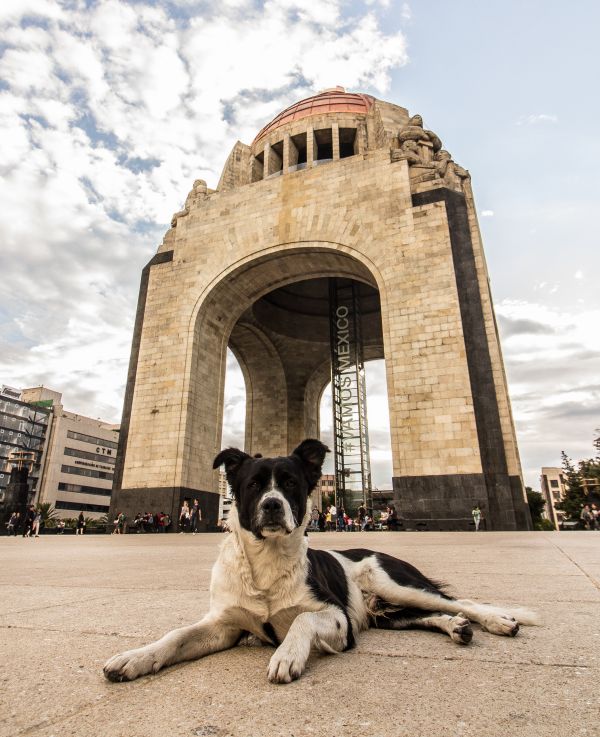 foto:David Ignacio Juarez Gutierrez - lo hecho en México
