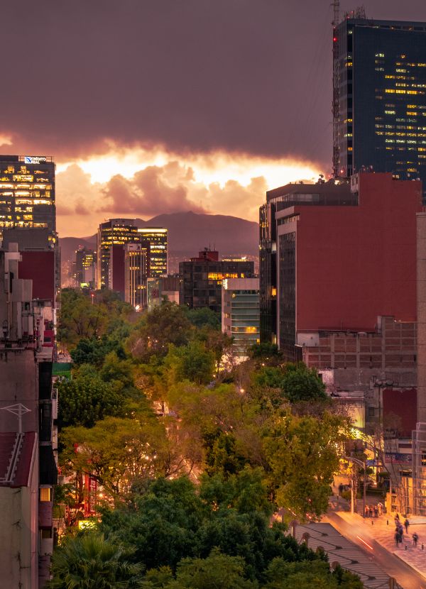 foto:León Felipe Hernández Cañez - lo hecho en México