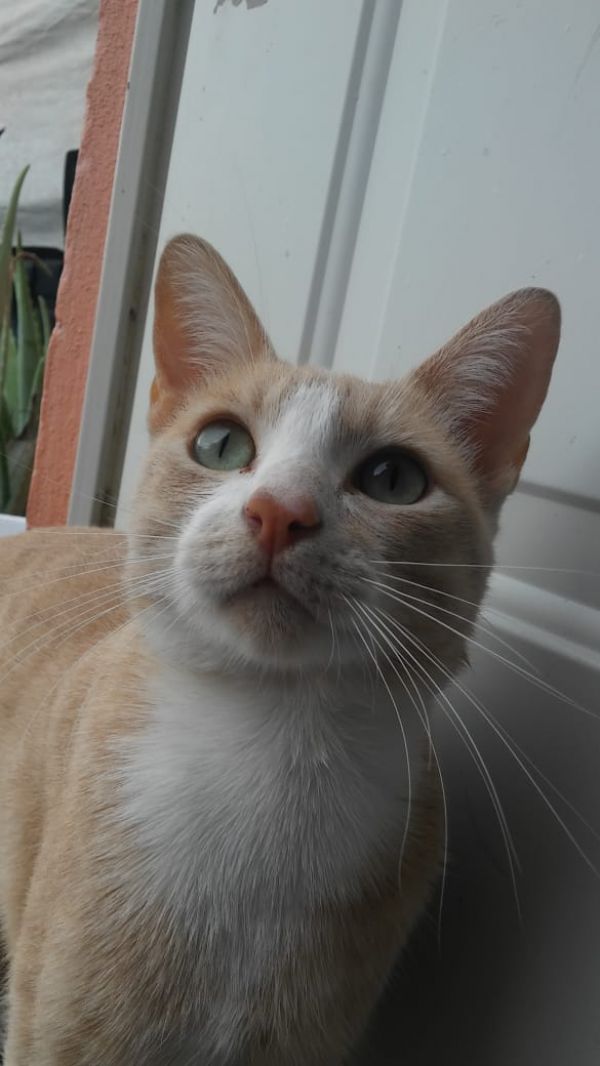 foto:Gerardo Hernández  Cruz  - lo hecho en México