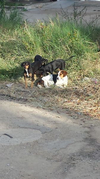 foto:Gustavo X Román - lo hecho en México
