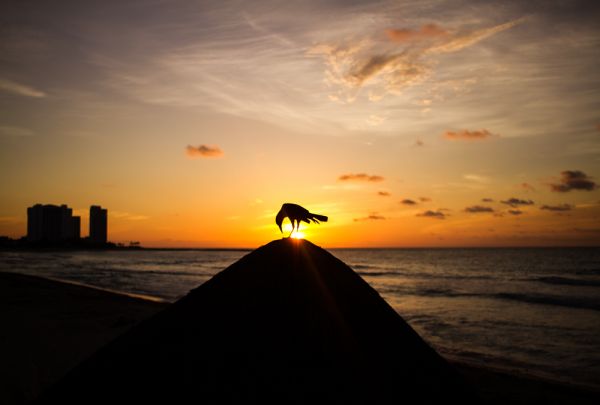 foto:Alejandra Ugarte Jimenez - lo hecho en México