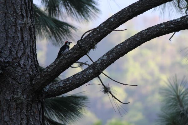 foto:Hugo Alejandro Grande Hernández - lo hecho en México