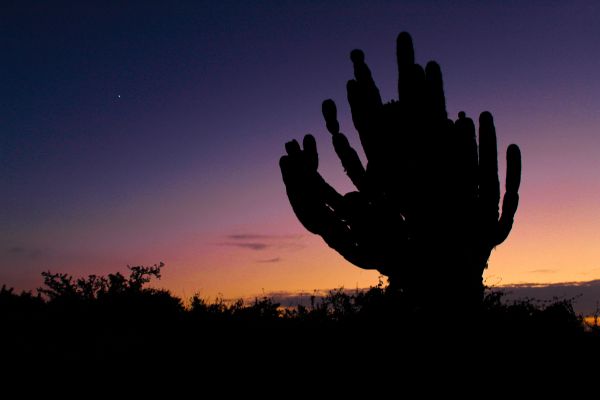 foto:Mariel Brito Schulz - lo hecho en México
