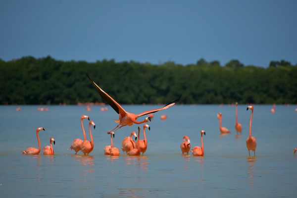foto:Lizbeth Pérez Bejar - lo hecho en México