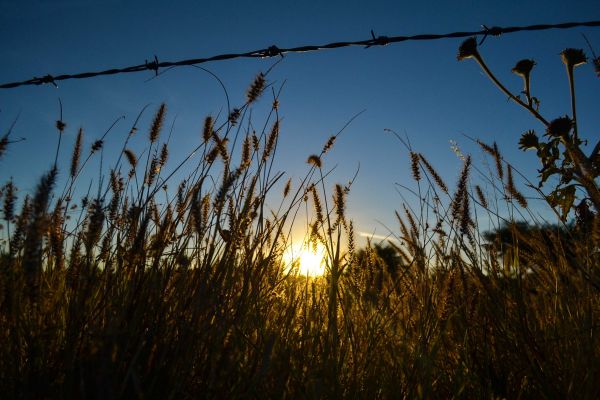 foto:Alejandra  Carmona Ramirez - lo hecho en México