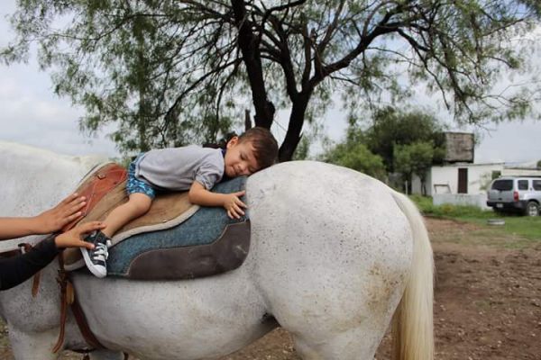 foto:Gabriela Viridiana Teniente Hernandez - lo hecho en México