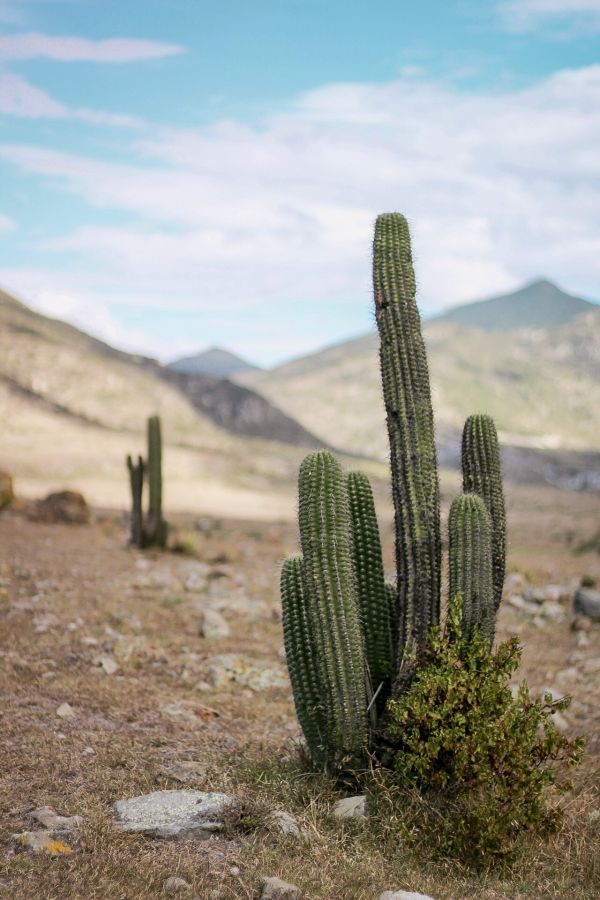 foto:Andrea González  González del Castillo - lo hecho en México