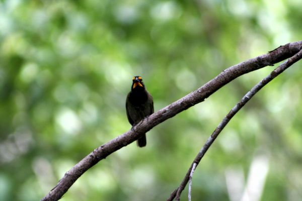 foto:MARIA ANTONIETA NORIEGA SALAZAR - lo hecho en México