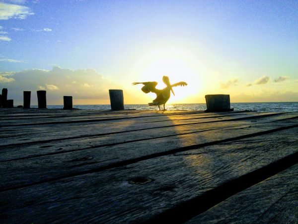 foto:Carlos Augusto Castro Quezada - lo hecho en México