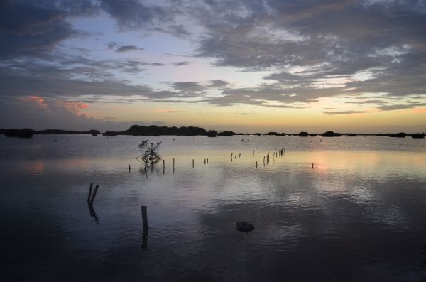foto:Claudia Deyanira Callejas Ruiz - lo hecho en México