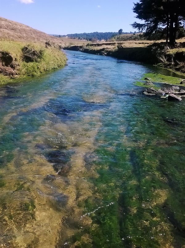 foto:Ivette Luis Gonzalez - lo hecho en México