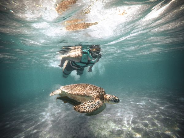 foto:Samuel  vasquez Oyarzabal - lo hecho en México