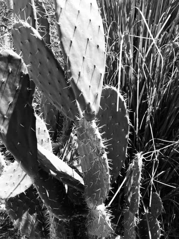 foto:Pablo González Sarre - lo hecho en México