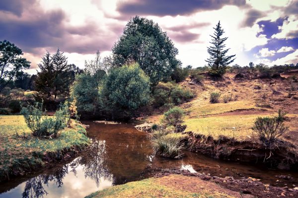 foto:Laura Karina Meza Vera - lo hecho en México
