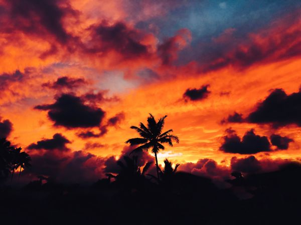 foto:Pool Pool Pool - lo hecho en México