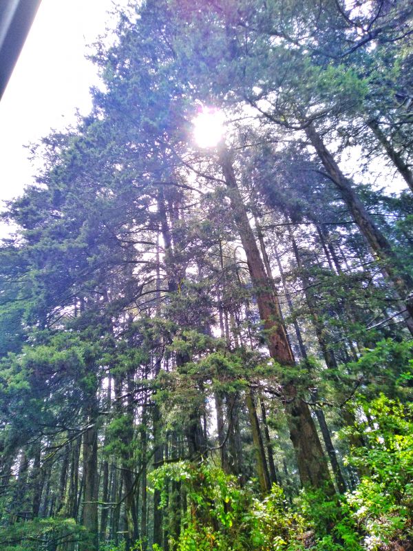 foto:Rodrigo  González  Moreno - lo hecho en México