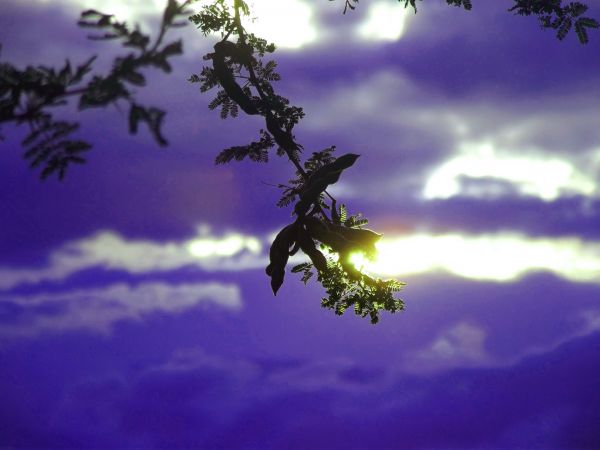 foto:Erick Corzo Zago - lo hecho en México