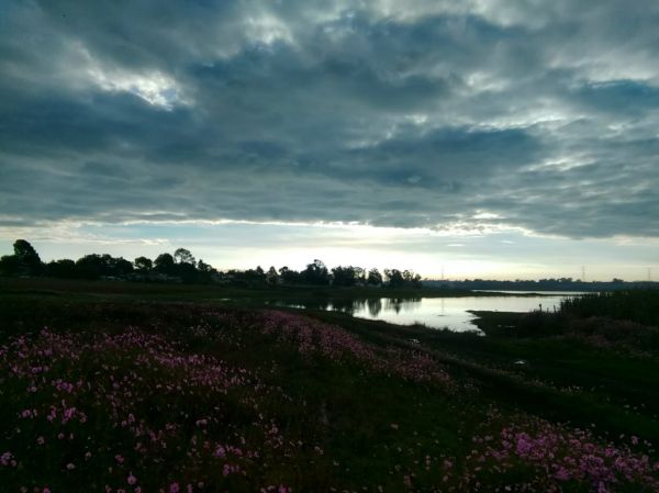 foto:Luis Aldair  Álvarez  Esquivel  - lo hecho en México