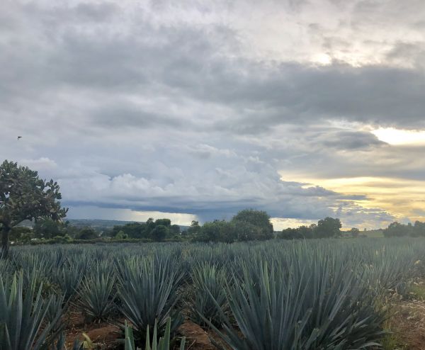 foto:Yanelly  Ramírez  Ramírez  - lo hecho en México