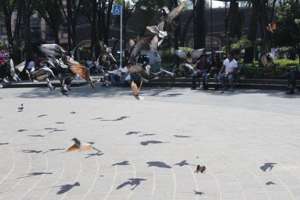 foto:Miriam Nicté-Há Olmos Puebla - lo hecho en México