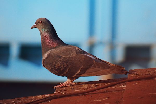 foto:Allison Karina Ramírez Marcial - lo hecho en México