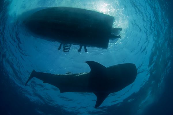 foto:Luis Javier Sandoval Alvarado - lo hecho en México