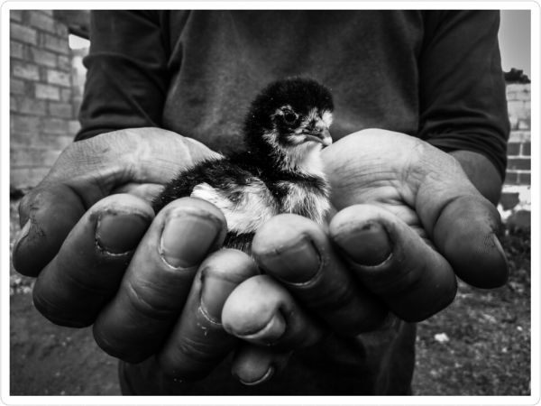 foto:Marycruz Morales Martinez - lo hecho en México