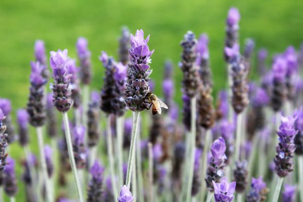 foto:wendolyn estefania vazquez armas - lo hecho en México