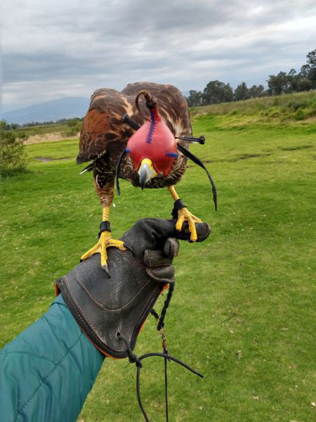 foto:raul García Ortega - lo hecho en México