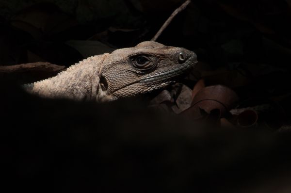 foto:Adaí  Lugo Robledo - lo hecho en México