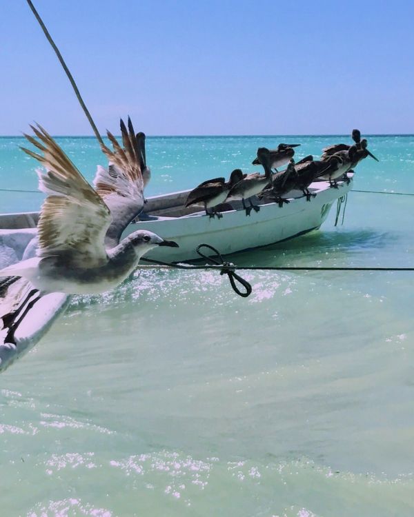 foto:María José Izquierdo Rivera - lo hecho en México