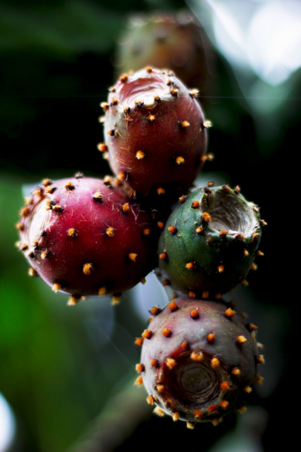 foto:Elisa Orozco Martínez - lo hecho en México