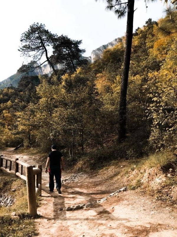 foto:Rafael Alejandro  Rodriguez Villalobos  - lo hecho en México