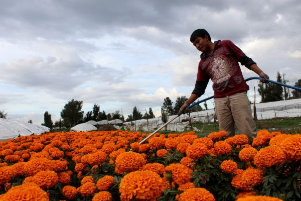 foto:Rodrigo Millán Flores - lo hecho en México