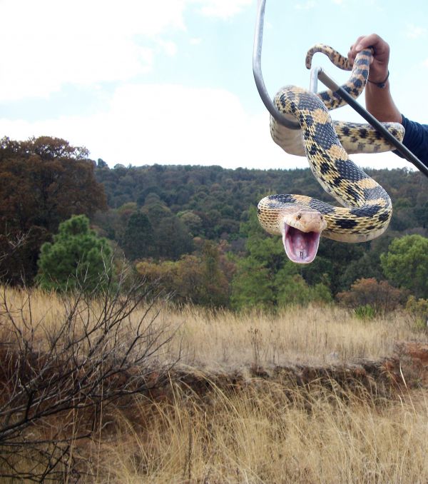 foto:Maria de Lourdes Zamudio Tovar - lo hecho en México