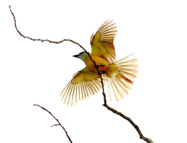 foto:Alfonso Alarcón Cervantes - lo hecho en México