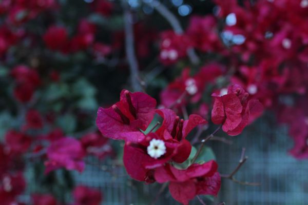 foto:Eric Cuauhtencos  Duran - lo hecho en México