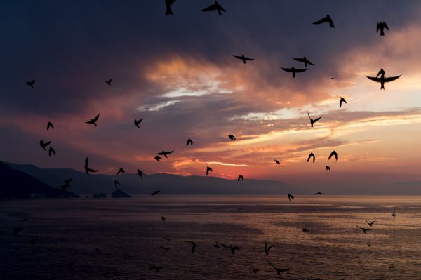 foto:Christian Gonzalez Veron - lo hecho en México