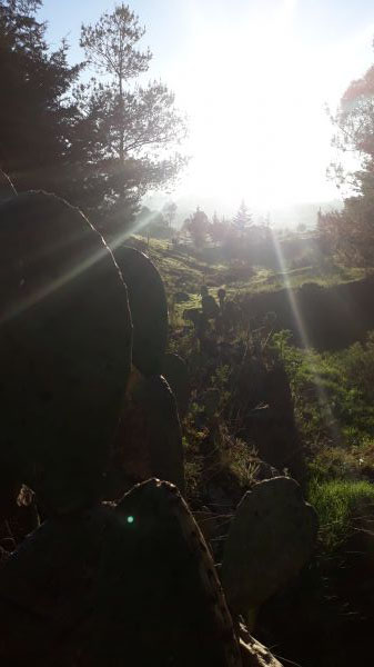 foto:Jose Antonio  López  De la Cruz  - lo hecho en México