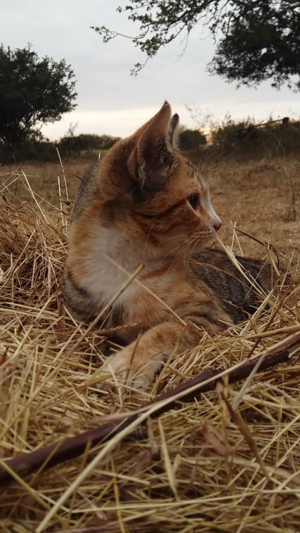 foto:Laura Pulido Lárraga - lo hecho en México