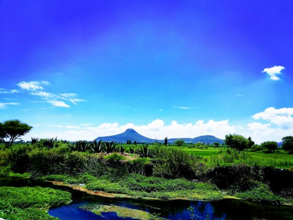 foto:Alejandro  Bautista  Bautista  - lo hecho en México