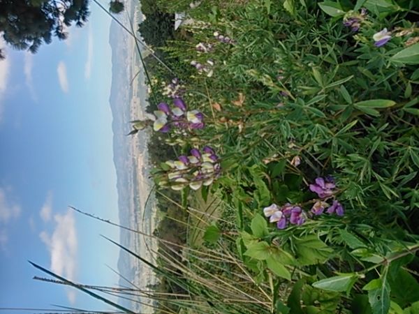foto:Abraham  Juárez  garcía  - lo hecho en México