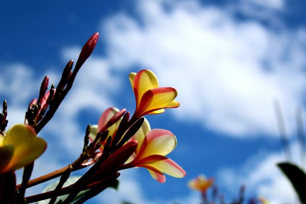 foto:Ernesto García Ruiz - lo hecho en México