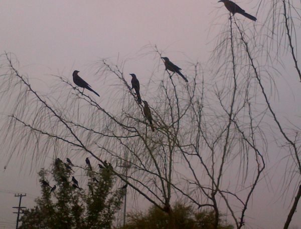 foto:mirthala  silva flores - lo hecho en México